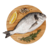 Freshwater Fish