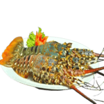 Lobsters